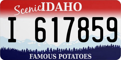 ID license plate I617859