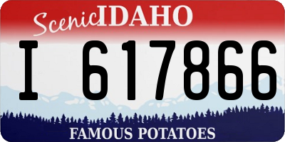 ID license plate I617866