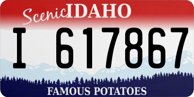 ID license plate I617867