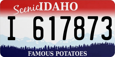 ID license plate I617873