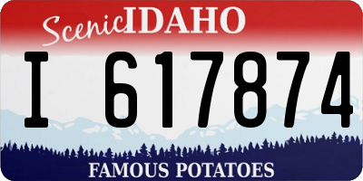 ID license plate I617874