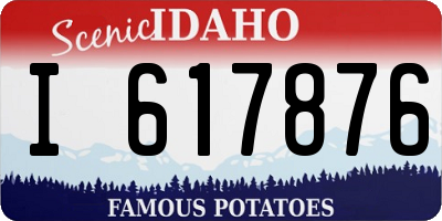 ID license plate I617876