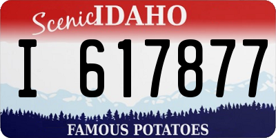 ID license plate I617877