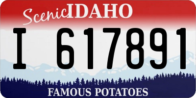 ID license plate I617891