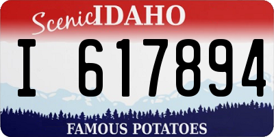 ID license plate I617894