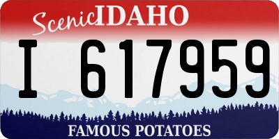 ID license plate I617959