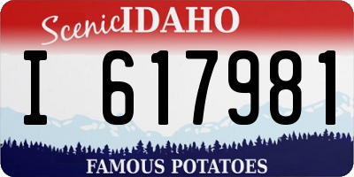 ID license plate I617981
