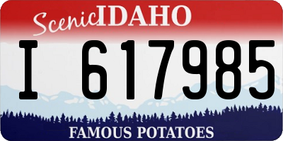 ID license plate I617985