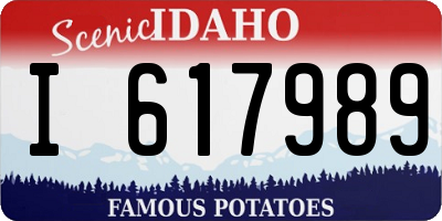 ID license plate I617989