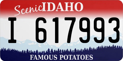 ID license plate I617993