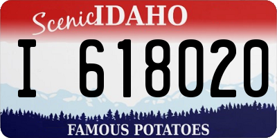 ID license plate I618020