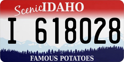ID license plate I618028