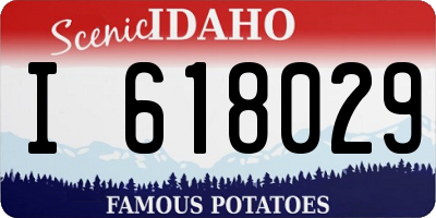 ID license plate I618029