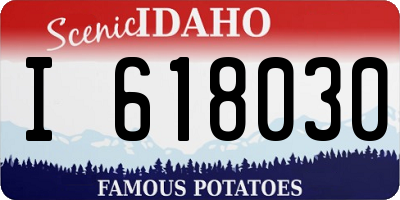 ID license plate I618030