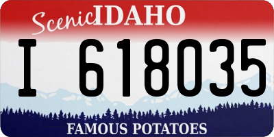ID license plate I618035