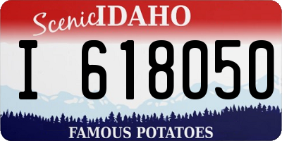 ID license plate I618050