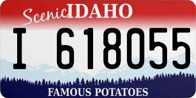 ID license plate I618055