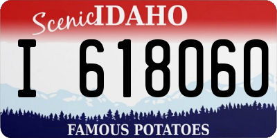 ID license plate I618060