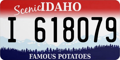 ID license plate I618079