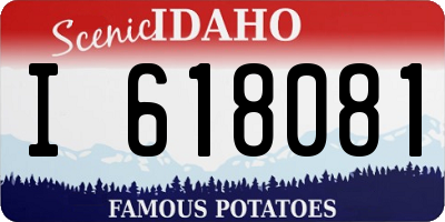 ID license plate I618081