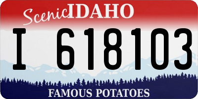 ID license plate I618103