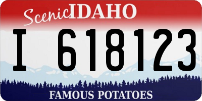 ID license plate I618123