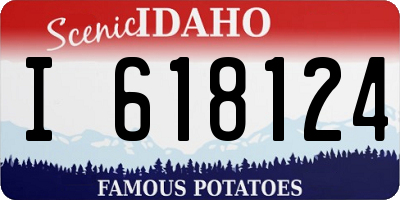 ID license plate I618124