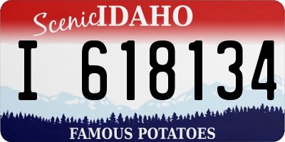 ID license plate I618134