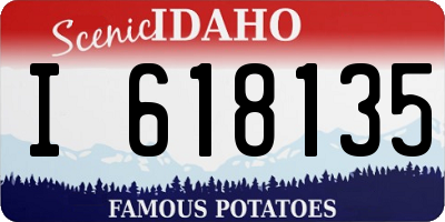 ID license plate I618135