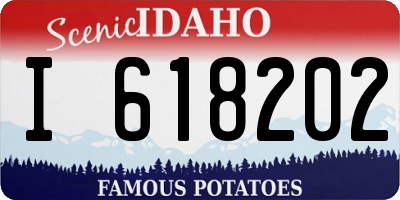 ID license plate I618202