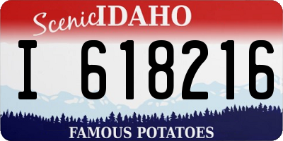 ID license plate I618216
