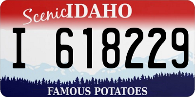 ID license plate I618229