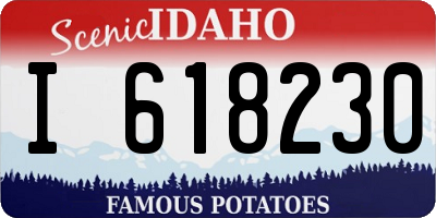 ID license plate I618230