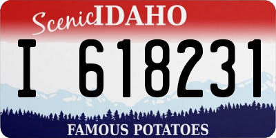 ID license plate I618231