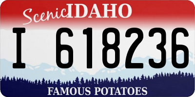 ID license plate I618236