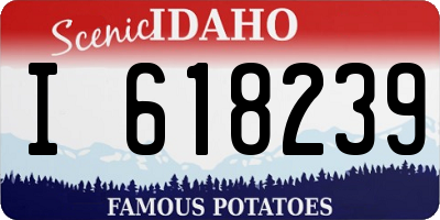 ID license plate I618239