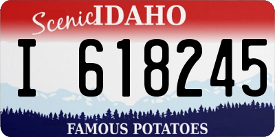 ID license plate I618245