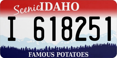 ID license plate I618251