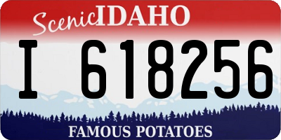 ID license plate I618256