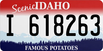 ID license plate I618263