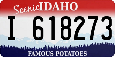 ID license plate I618273