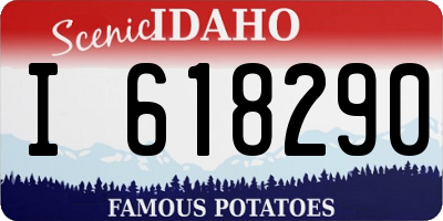 ID license plate I618290