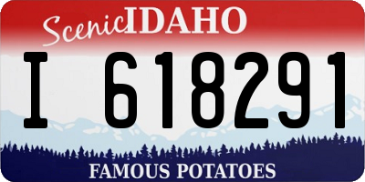 ID license plate I618291