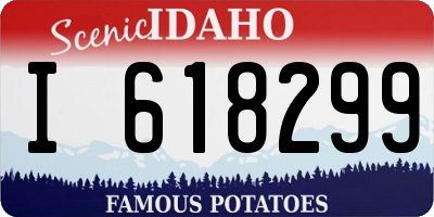ID license plate I618299