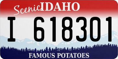 ID license plate I618301