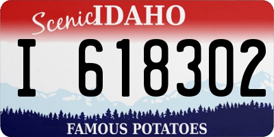 ID license plate I618302