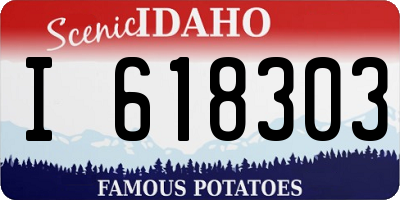 ID license plate I618303