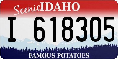 ID license plate I618305