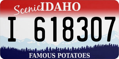 ID license plate I618307