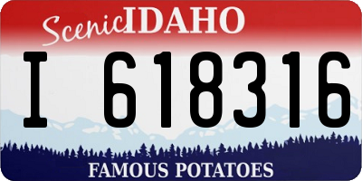 ID license plate I618316